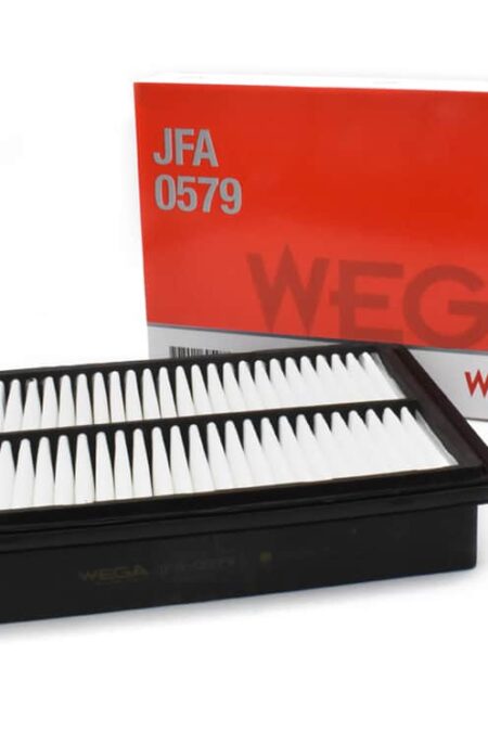 Filtro de aire para Hyundai H1 JFA-0579